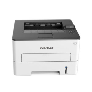 Pantum P3010DW