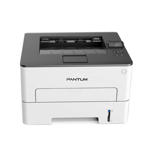 Pantum P3010DW